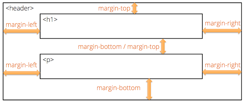 margins diagram