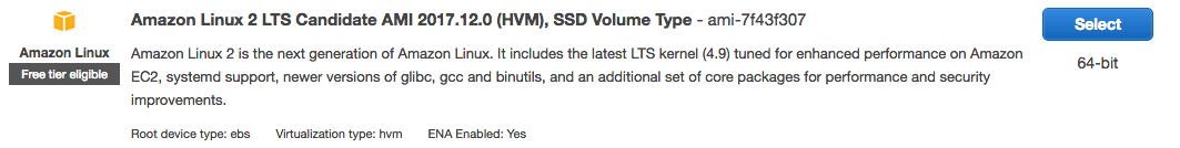 Amazon Linux 2 distro option